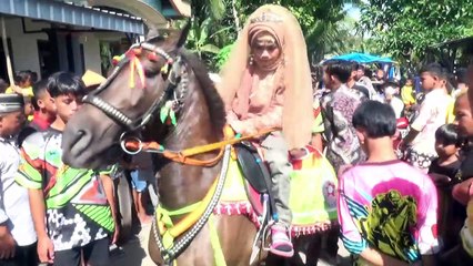 Naik Kuda Joget | Renggong | Kuda Delman | Horse| Lagu Naik Delman Istimewa