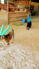 Hilarious Driving Fails & Pranks 🚗😂