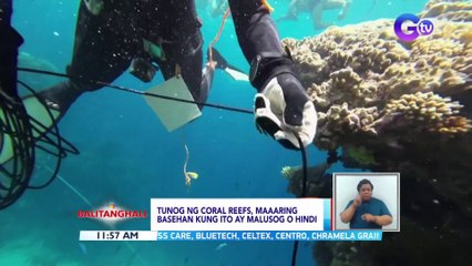 Tunog ng coral reefs, maaaring basehan kung ito ay malusog o hindi | BT