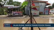 Jalan Rusak, Warga Tanam Pohon Pisang