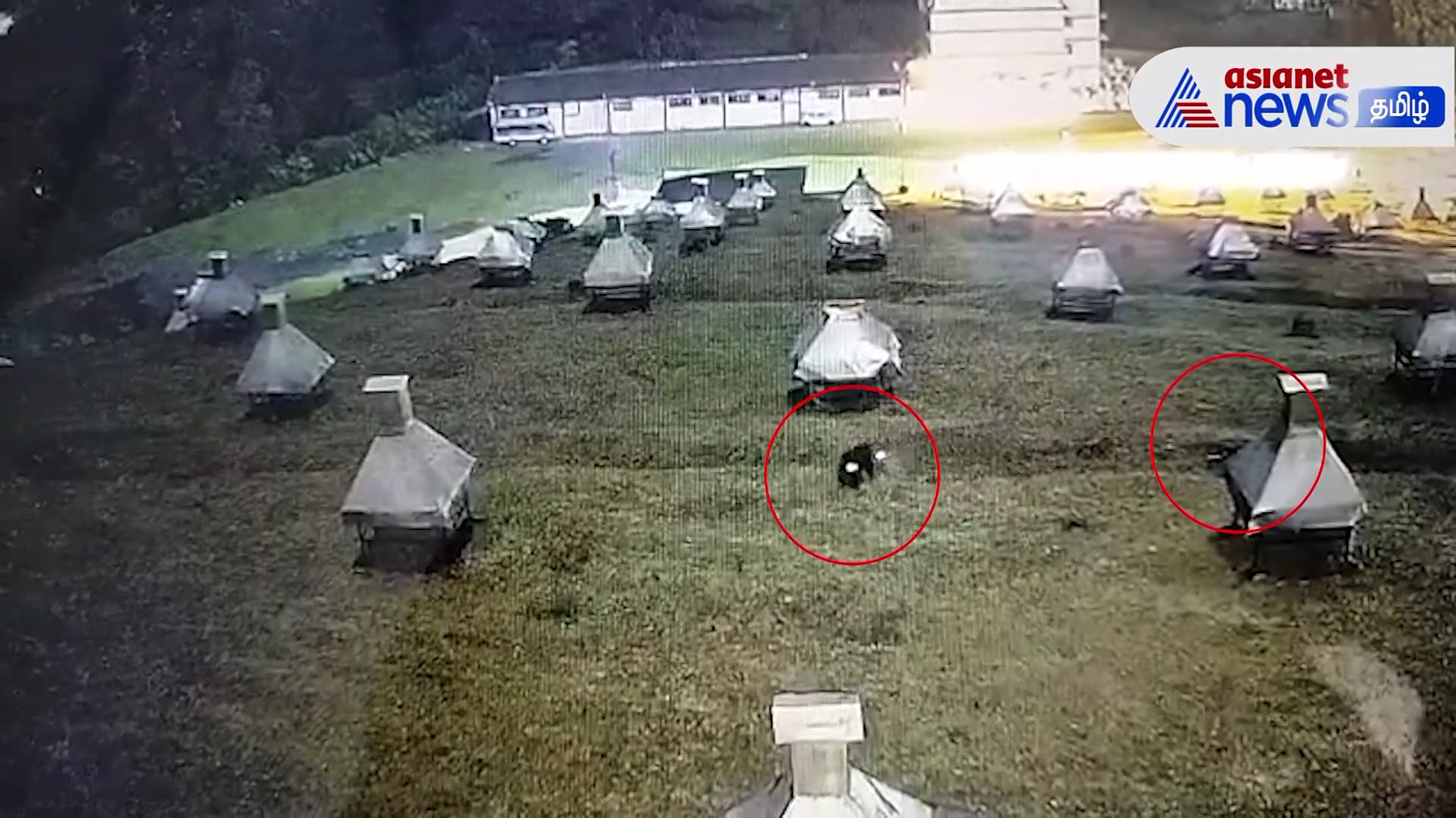 ஊட்டி வானிலை ஆய்வு மைய வளாகத்தில் இரண்டு கருப்பு சிறுத்தைகள்; அதிர்ச்சி வீடியோ!!