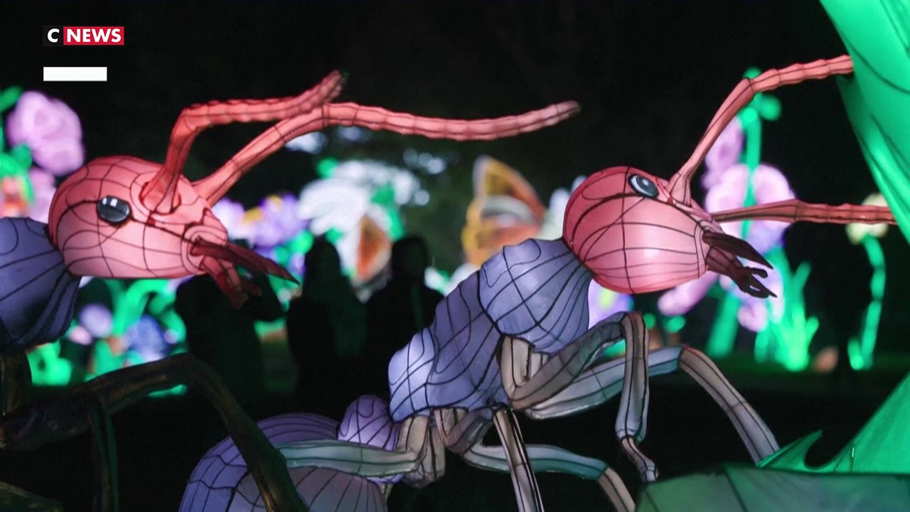 Des insectes géants illuminent le Jardin des Plantes