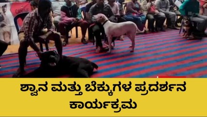 ಹಿಂದುಸ್ತಾನ್ ಪೆಟ್ ಚಾರಿಟೇಬಲ್ ಟ್ರಸ್ಟ್ ನಿಂದ ಸಾಕು ಪ್ರಾಣಿಗಳ ಪ್ರದರ್ಶನ ಆಯೋಜನೆ