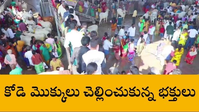 వేములవాడ: భక్తులతో కిక్కిరిసిపోయిన వేములవాడ రాజన్న క్షేత్రం