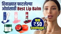 हिवाळ्यासाठी 200 रुपयांच्या आत बेस्ट Lip Balm  | Best Lip Balms Under Rs.200 | Best Lip Balms 2022