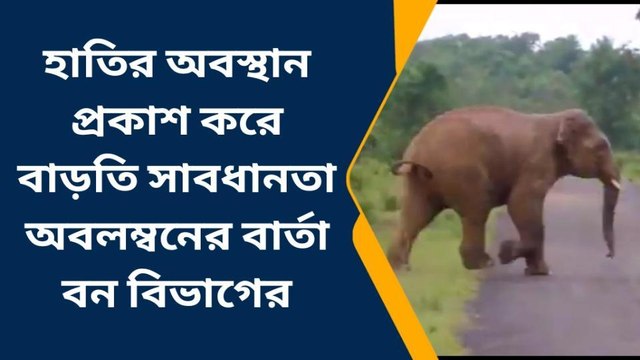 মেদিনীপুর : কোন সময়ে বন এলাকায় বাড়তি সতর্কতা ? জানালেন আধিকারিকরা
