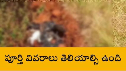 కామారెడ్డి: జిల్లాలో వ్యక్తి దారుణ హత్య