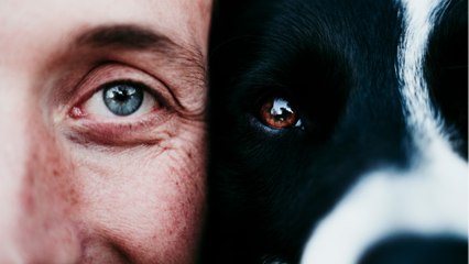 Are you not your dog’s favourite? Here is how to win your pet’s heart