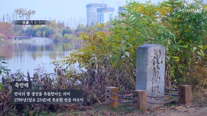 200년 전 정조가 만든 수원의 인공 저수지 축만제 TV CHOSUN 221114 방송