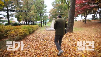 농업 연구소 입지에 뛰어난 수원의 가치를 알아본 일본 TV CHOSUN 221114 방송