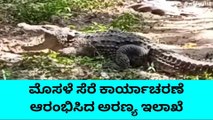 ಮೈಸೂರು:ಮೊಸಳೆ ಸೆರೆ ಕಾರ್ಯಾಚರಣೆ ಆರಂಭಿಸಿದ ಅರಣ್ಯ ಇಲಾಖೆ