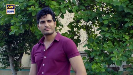 Woh Pagal Si Episode 37