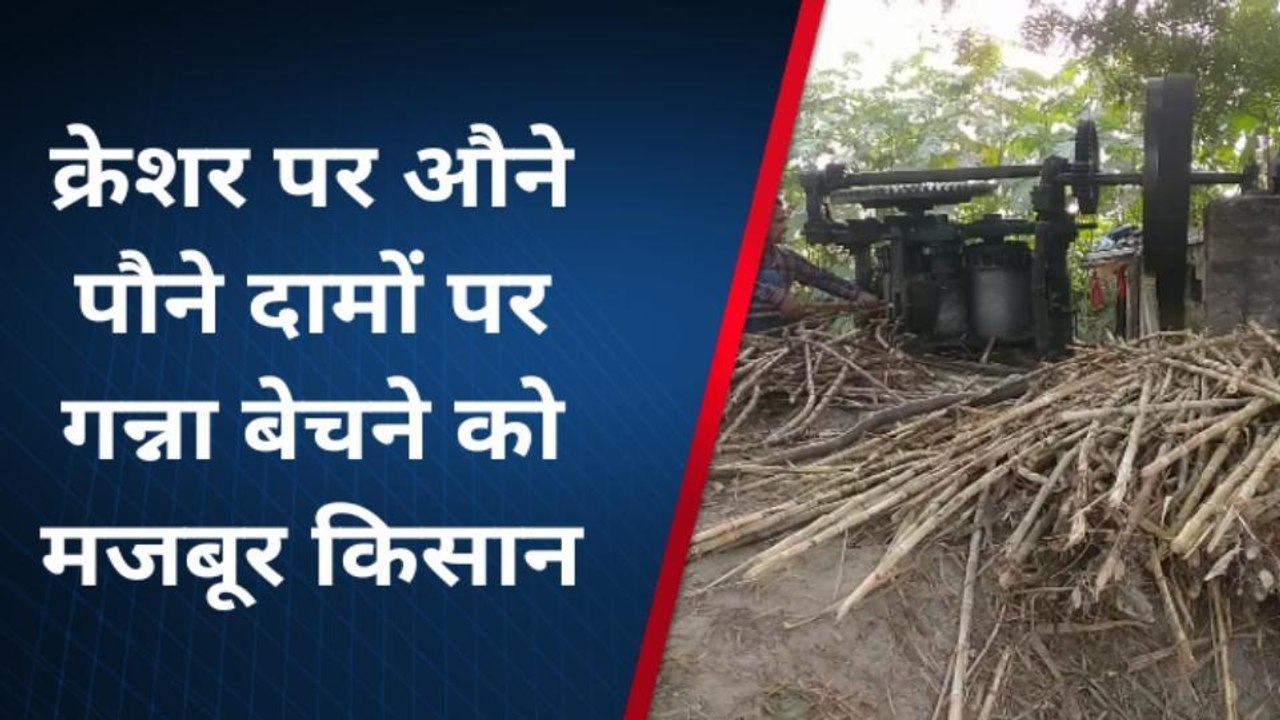 कुशीनगर: चीनी मिल समय से न चालू होने पर कम दामों में गन्ना बेचने को मजबूर है किसान
