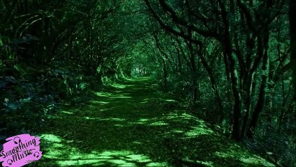 Relaxing Music Healing Stress, Anxiety and Depressive States Heal Mind, Body and Soul | Sleep music....