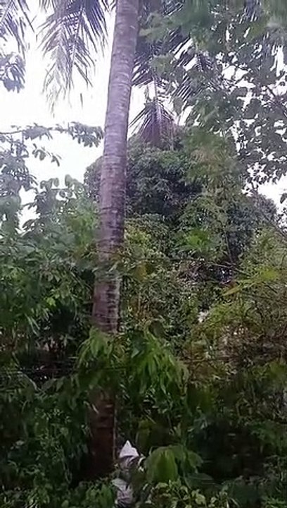 Beginilah suasana tempat tinggal ku