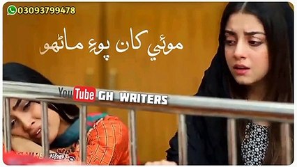 Sindhi Status| New Sindhi  Song Video Status - Sindhi Sad Whatap Status Shabana koyal song video @Jalsatv