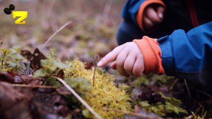Zarok TV - Zarokên Ku Dinyayê Rizgar Dikin! (Beş 2: WILLIAM) - NÛ/NEWE