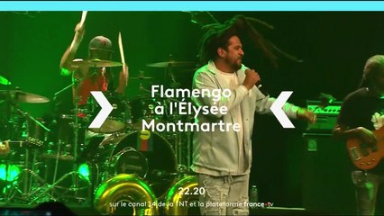 Flamengo à l’Élysée Montmartre - 14 novembre