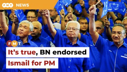 ​​Tok Mat says it again, Ismail is BN’s pick for PM