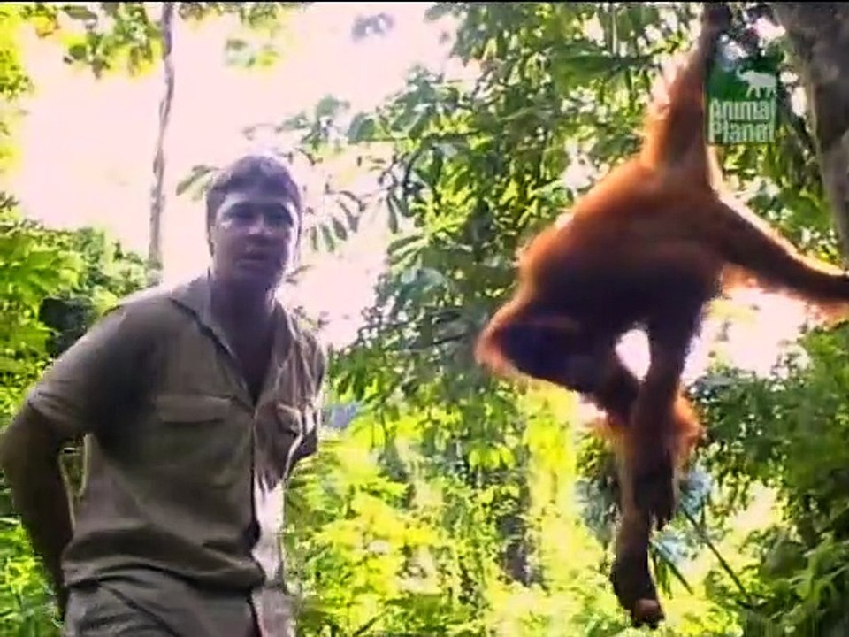 Crocodile Hunter Staffel 8 Folge 5 HD Deutsch