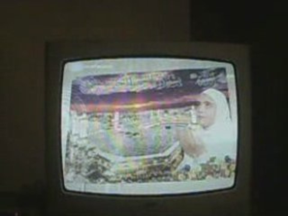 talho halal no Rtp2