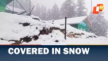 Fresh Snowfall In Jammu Kashmir's Doda & Gulmarg