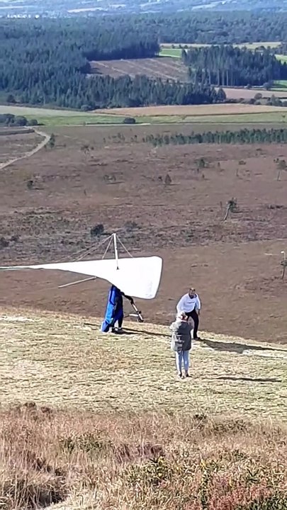 Vol d'un curieux oiseau au-dessus du Menez Hom ...