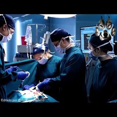 doctor austista ,, temporada 1 cap1