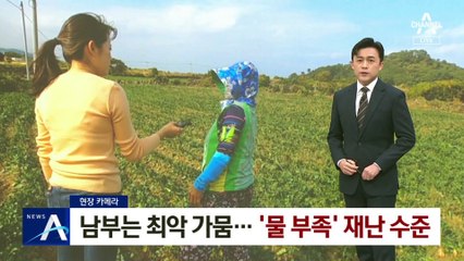[현장 카메라]남부는 최악 가뭄…‘물 부족’ 재난 수준