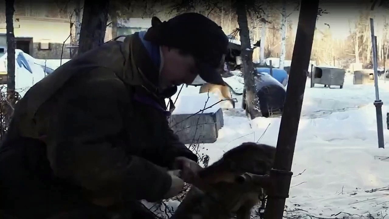 Yukon Men - Überleben in Alaska Staffel 4 Folge 2 HD Deutsch