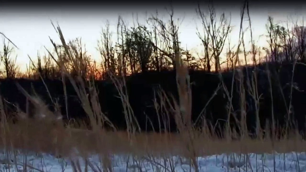 Die Monster-Jäger - Bestien auf der Spur Staffel 1 Folge 19 HD Deutsch