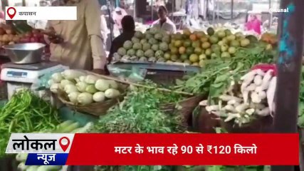 कपासन : सब्जी मंडी में सब्जियों के भाव में आया आंशिक उतार-चढ़ाव, देखिए