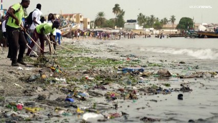 Download Video: Popolazione: 8 miliardi sulla Terra, l'impatto sul cambiamento climatico