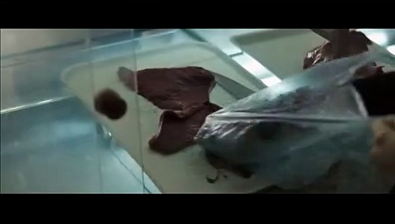Vampir part1