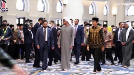 شاهد: الرئيس الإماراتي يدشن نسخة من مسجد الشيخ زايد في إندونيسيا