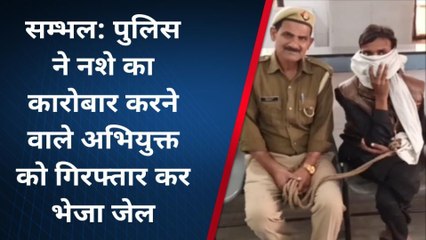 संभल: पुलिस ने नशे का कारोबार करने वाले एक व्यक्ति को किया गिरफ्तार