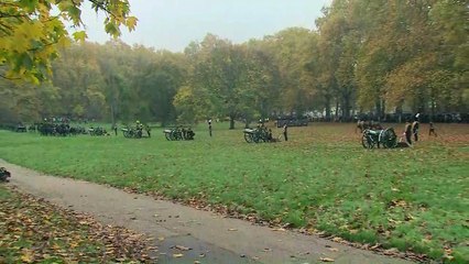 Gun salute in Green Park marks King's 74th birthday