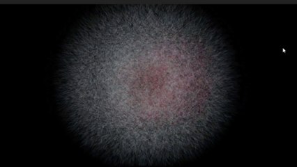 Logo Animation In After Effects