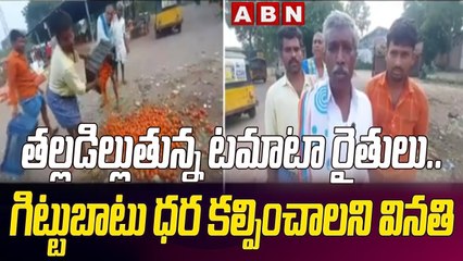 తల్లడిల్లుతున్న టమాటా రైతులు.. గిట్టుబాటు ధర కల్పించాలని వినతి || Tomato Farming || ABN Telugu