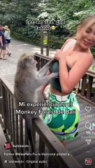 Ce singe a les mains baladeuses avec Miss Pérou