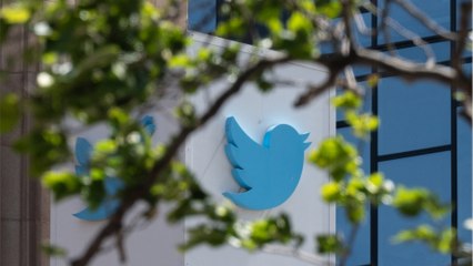 Avec l'effondrement de Twitter, ce sont des traces de notre histoire qui pourraient disparaître