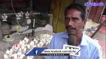 Ganesh Idols Made With Oysters & Conch Shells, Attracts Tourists | Tamil Nadu | V6 News