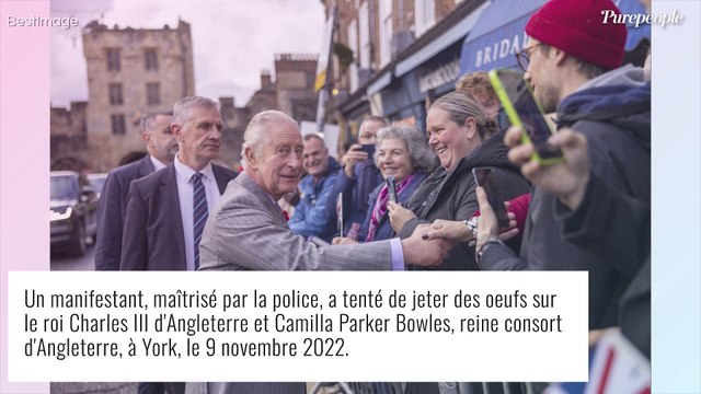 Charles III infidèle : cette troisième femme ultra-discrète avec qui il aurait trompé Camilla et Diana...