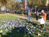 ZONGULDAK - Temizlik işçisi topladığı ekmek artıklarıyla sokak güvercinlerini besliyor