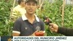 Federación Campesina del estado Lara impulsa la agroproducción en el municipio Jiménez