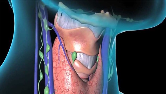 bd-alteraciones-de-tiroides-en-la-persona-adulta-mayor-141122