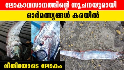ദുരന്തത്തിന്റെ മുന്നറിയിപ്പ്: 15-അടി ദൈർഘ്യമുള്ള 'ലോകാവസാനദിന' മത്സ്യം കരക്കടിഞ്ഞു 🐟