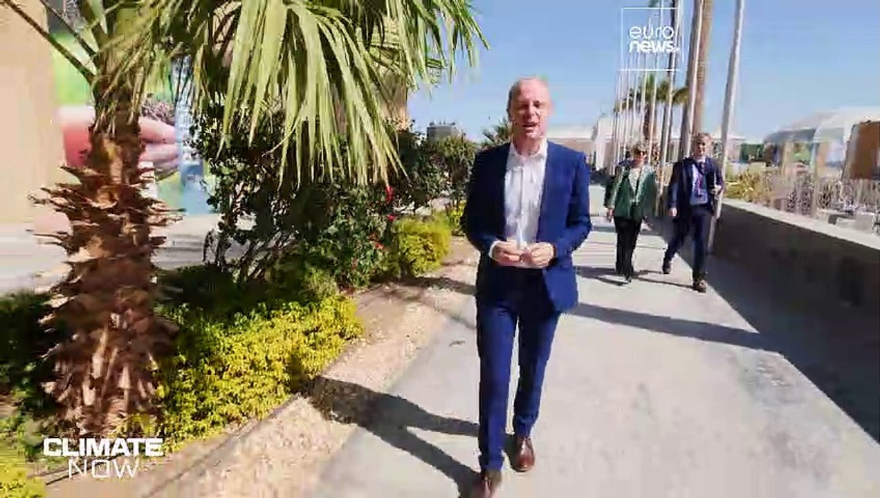 COP27: Experten erklären, wie und warum sich das Klima ändert