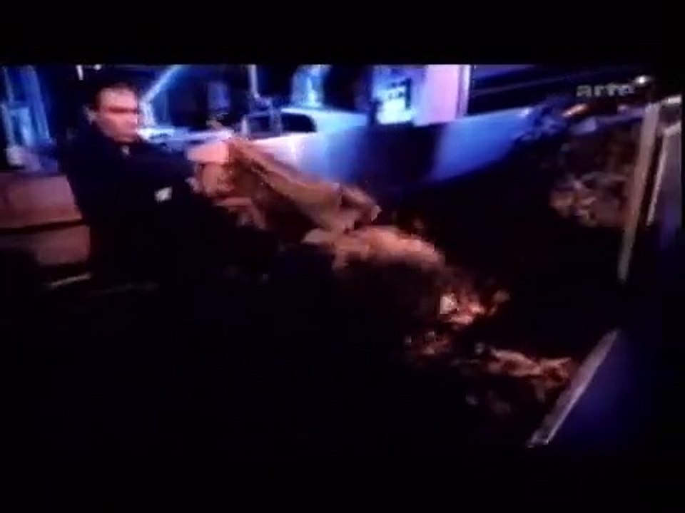 Drogues & Cerveau - Alcool & Tabac