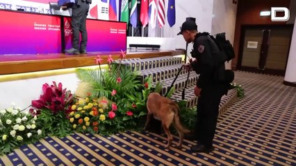 Bali recibe a los líderes del G20 para celebrar cumbre marcada por Ucrania